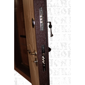 Стальная дверь  Д1819 (ТИХО-ДВЕРЬ)